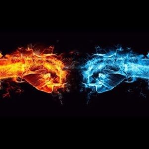 Meet your Posher, Riley